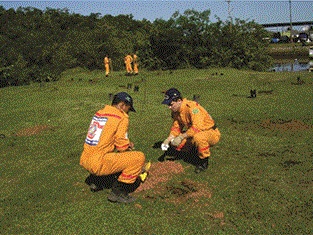 SERVICOS AMBIENTAIS EM CAMPOS DOS GOYTACAZES - CONSTRU VERDE