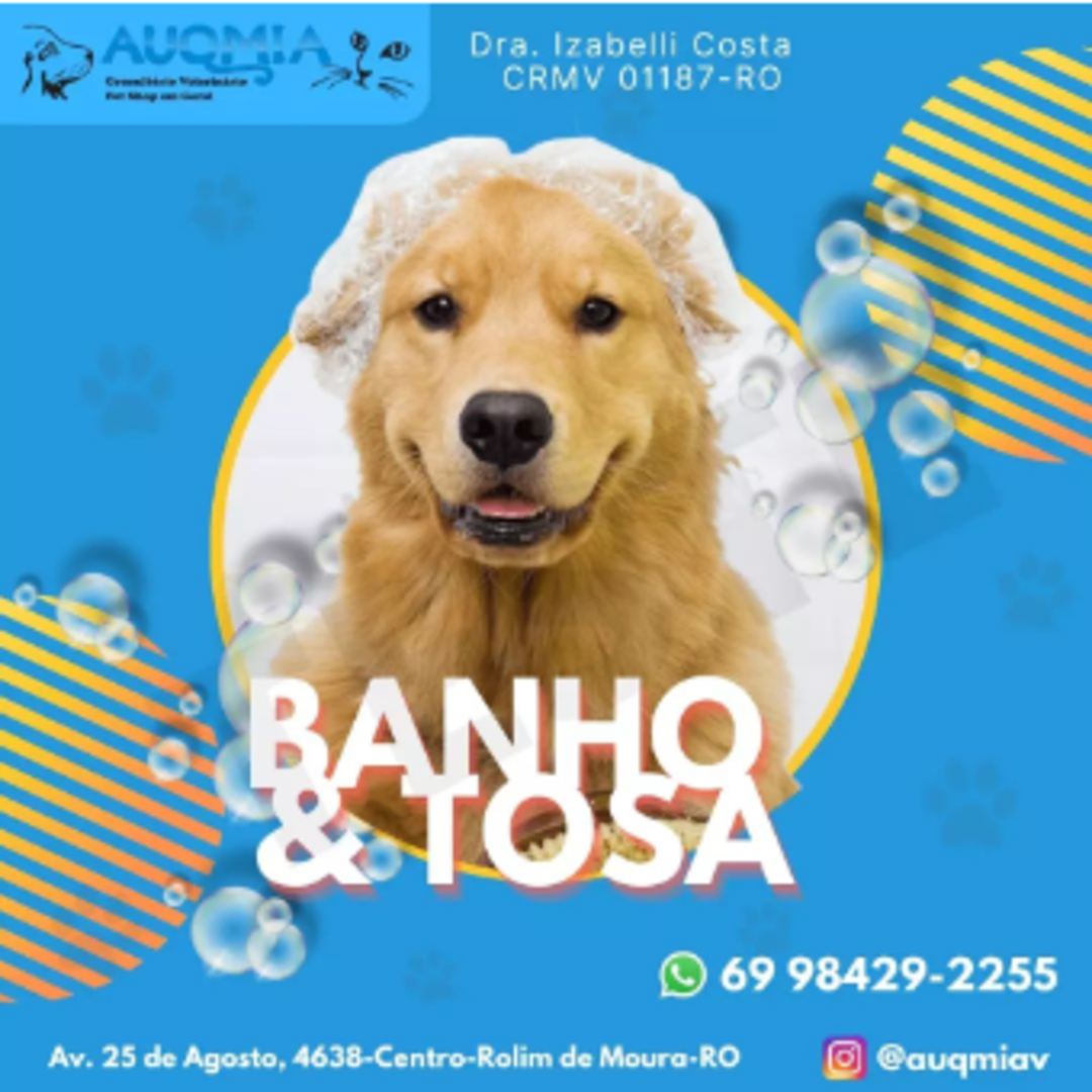 BANHO E TOSA EM ROLIM DE MOURA - RO