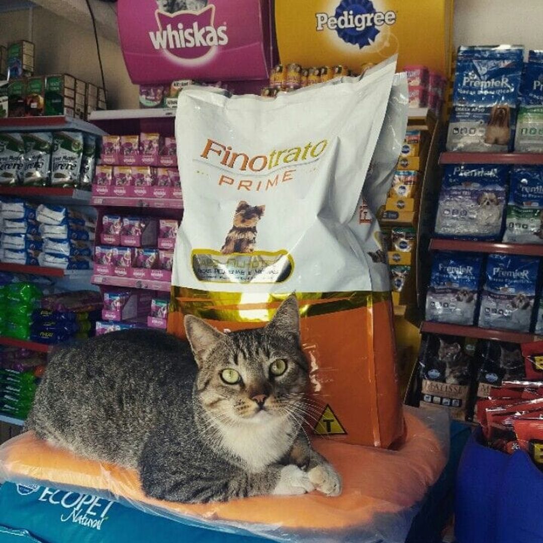 DISK RAÇÃO EM VILHENA - RO