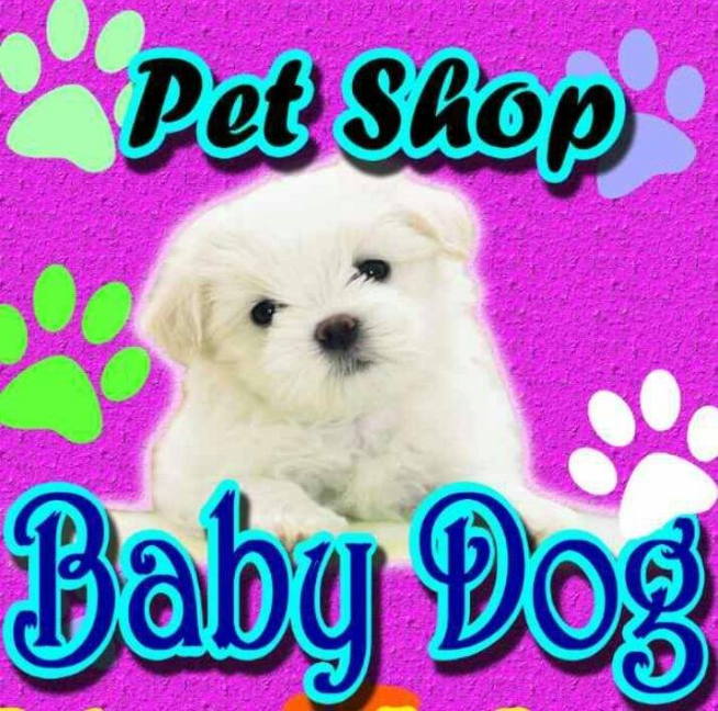 Baby Dog Pet Shop Gm