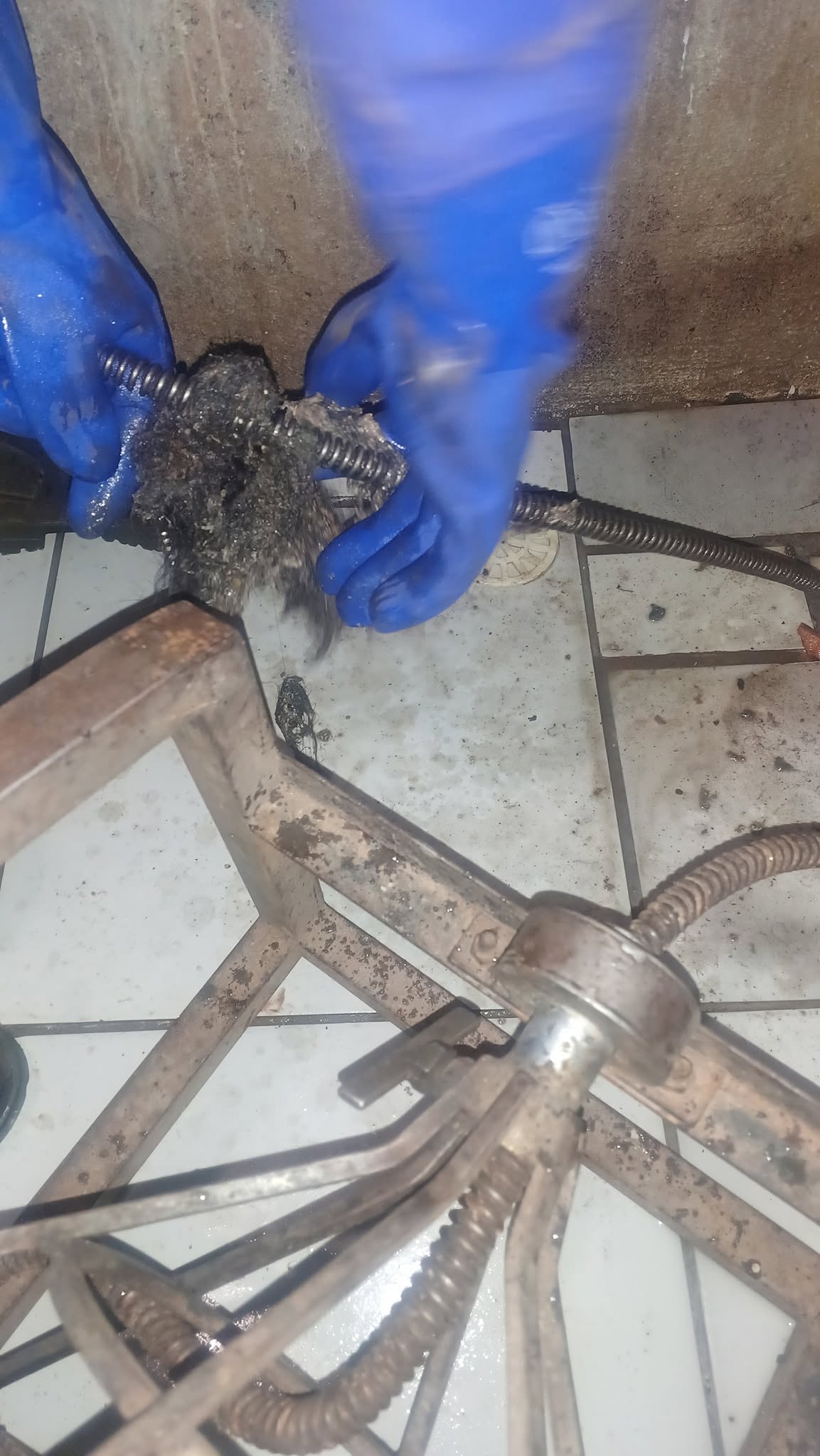 DESENTUPIMENTO E LIMPEZA DE CAIXA DE GORDURA EM SANTA MARIA RS