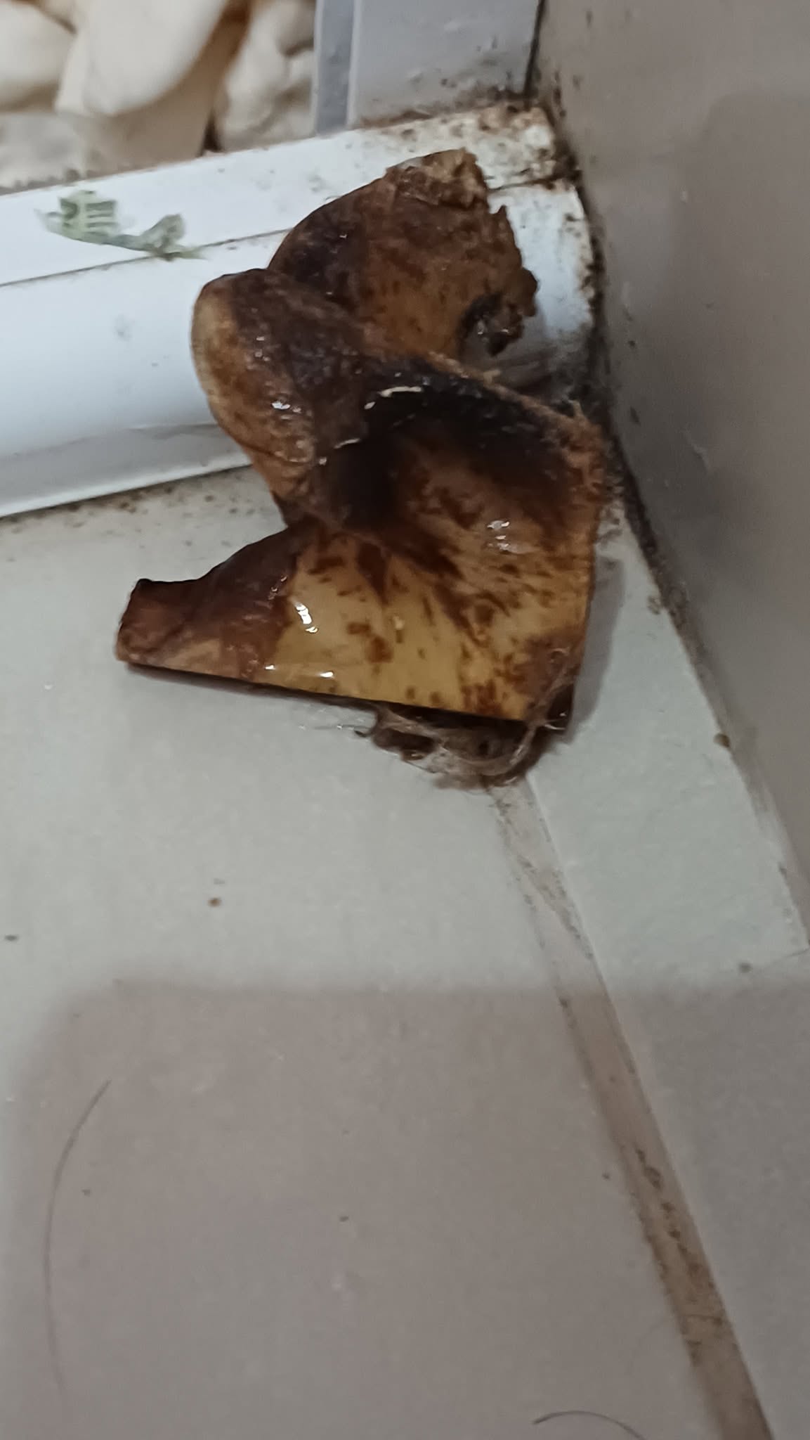 DESENTUPIMENTO E LIMPEZA DE CAIXA DE GORDURA EM SANTA MARIA RS