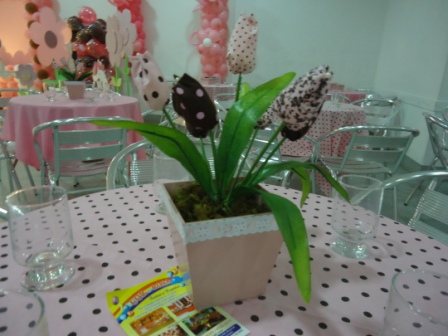 COR DE ROSA EM CAMPOS DOS GOYTACAZES