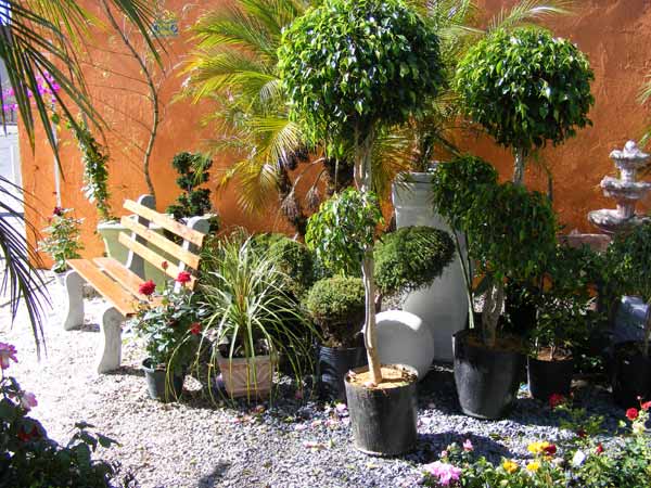 PAISAGISMO E JARDINAGEM EM LOTE XV BELFORD ROXO - UNIVERSO DAS PLANTAS