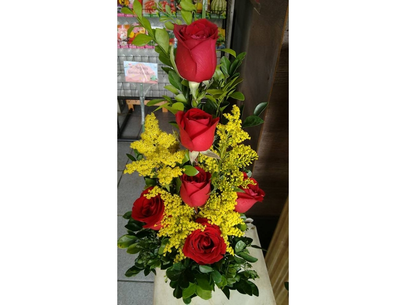 PLANTAS ORNAMENTAIS ARRANJOS BUQUÊ EM SANTA CRUZ DA SERRA DUQUE DE CAXIAS - RJ