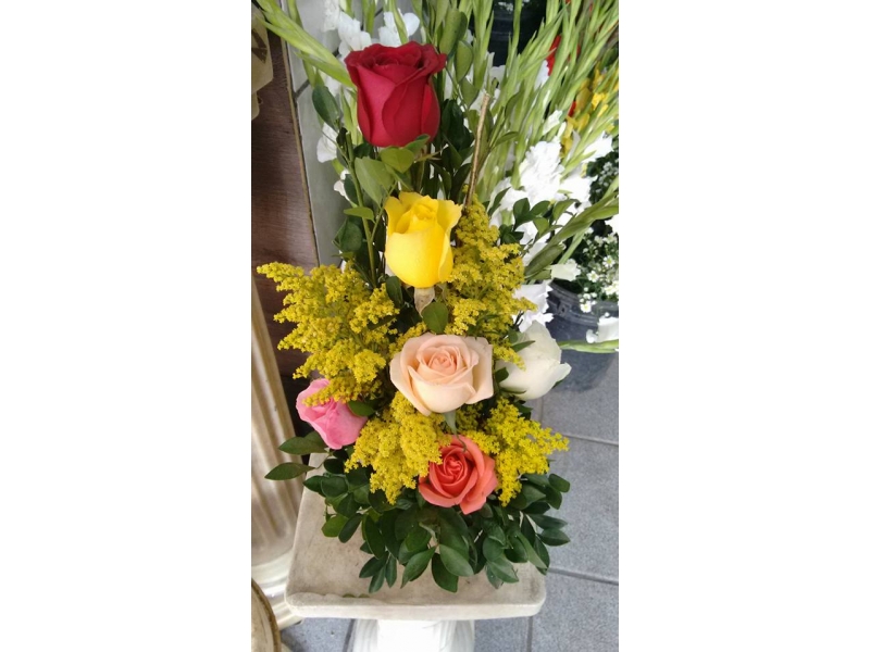 PLANTAS ORNAMENTAIS ARRANJOS BUQUÊ EM SANTA CRUZ DA SERRA DUQUE DE CAXIAS - RJ