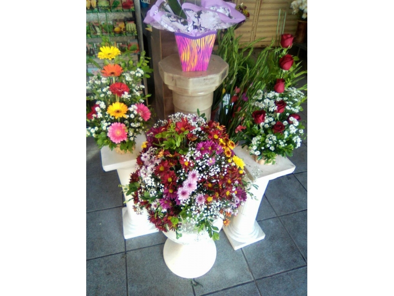 PLANTAS ORNAMENTAIS ARRANJOS BUQUÊ EM SANTA CRUZ DA SERRA DUQUE DE CAXIAS - RJ