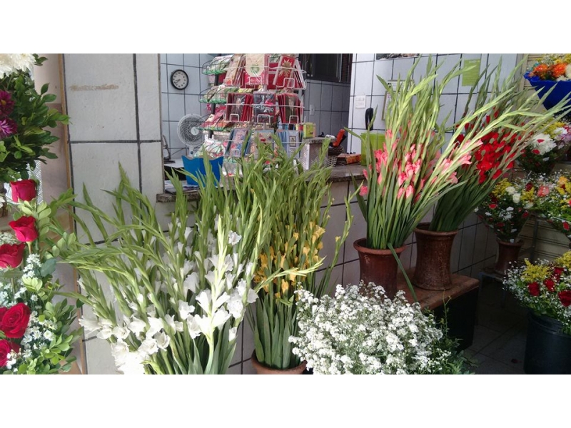 PLANTAS ORNAMENTAIS ARRANJOS BUQUÊ EM SANTA CRUZ DA SERRA DUQUE DE CAXIAS - RJ