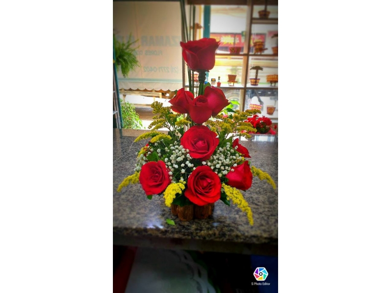 PLANTAS ORNAMENTAIS ARRANJOS BUQUÊ EM SANTA CRUZ DA SERRA DUQUE DE CAXIAS - RJ
