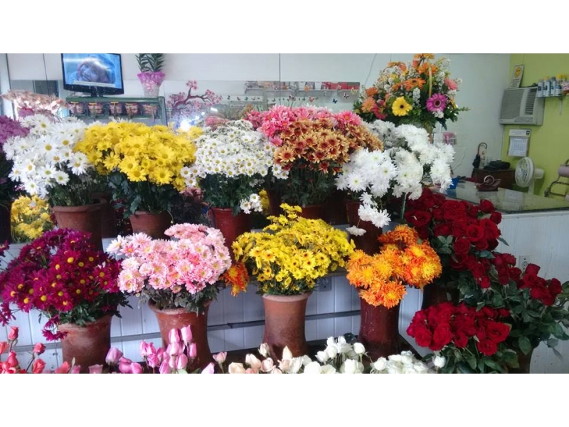 PLANTAS ORNAMENTAIS ARRANJOS BUQUÊ EM SANTA CRUZ DA SERRA DUQUE DE CAXIAS - RJ