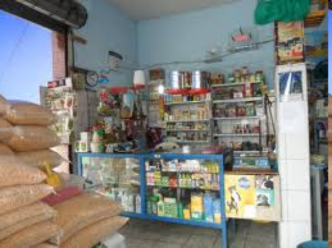 RACOES PARA CAES E GATOS BANHO E TOSA EM PETROPOLIS