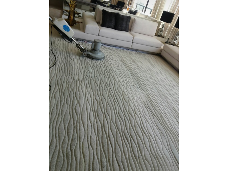 LIMPEZA DE CARPETES NA REGIÃO DE REAL PARQUE - SP