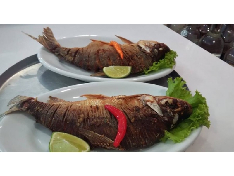 CHOPERIA EM MANAUS - AM  CHOPERIA SÃO MARCOS