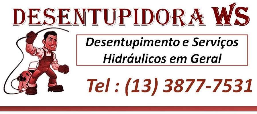 Desentupidora de Esgotos Canos na Ponta da Praia Emergência ou Agendamento