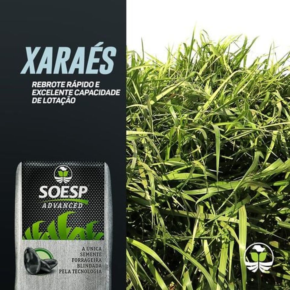 DISK RAÇÕES EM BURITIS - RO