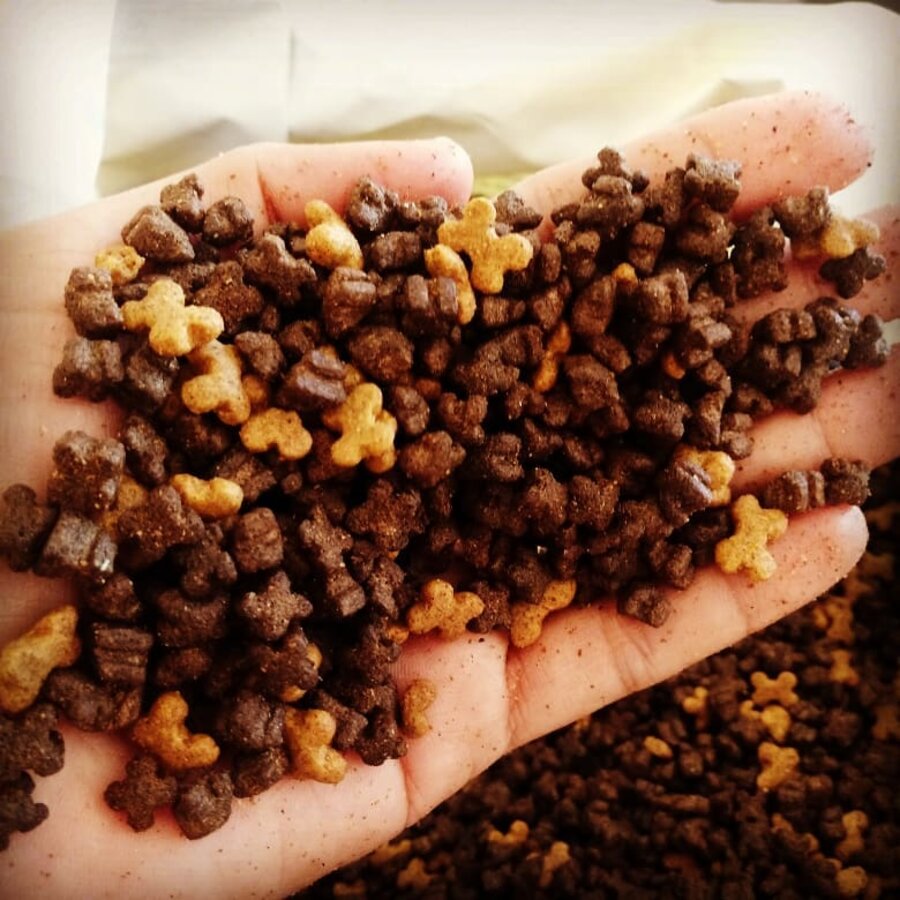 DISK RAÇÕES EM PIMENTA BUENO - RO