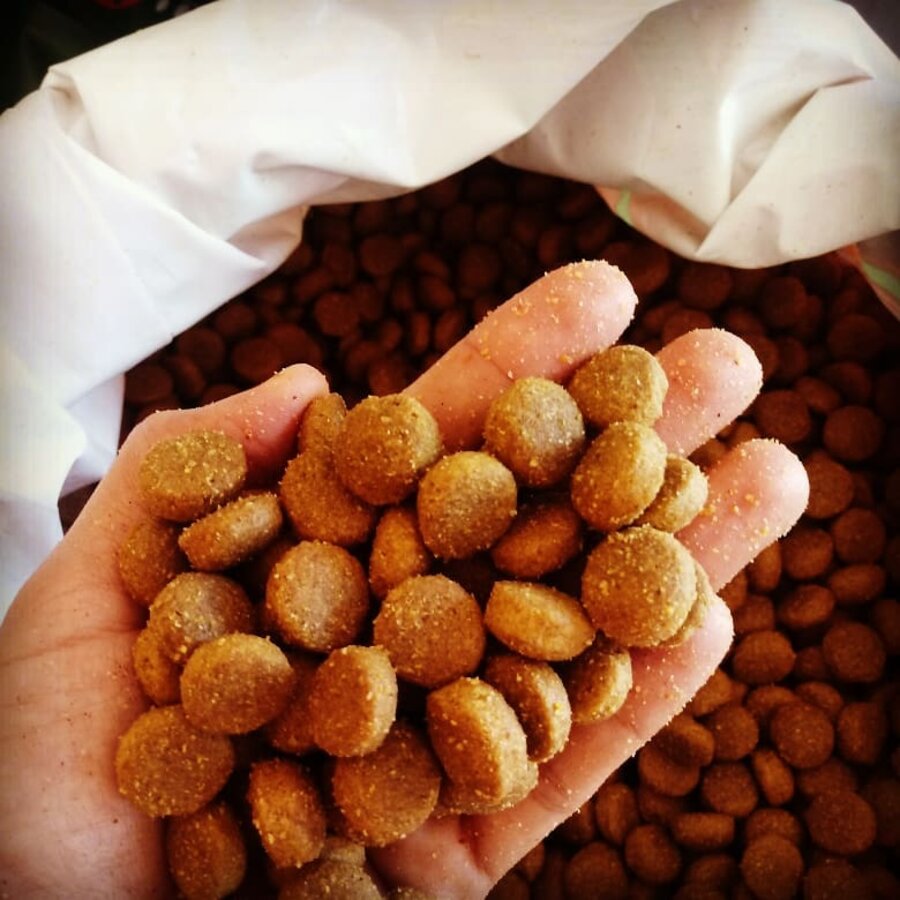 DISK RAÇÕES EM PIMENTA BUENO - RO