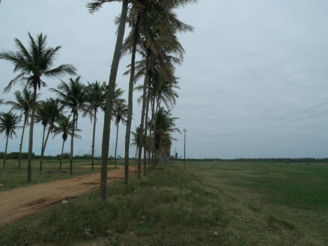 APC AZEVEDO PINTO CERAMICA EM CAMPOS DOS GOYTACAZES - APC CERAMICA