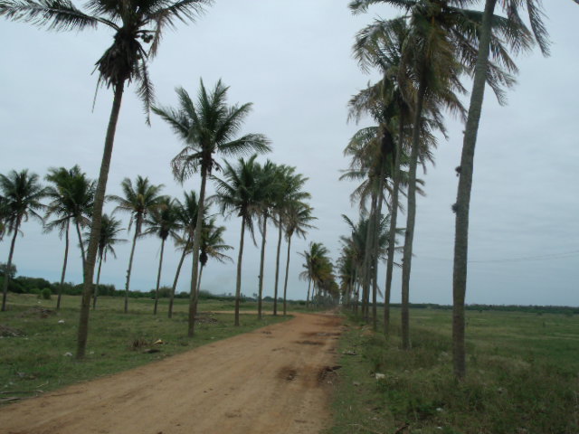 APC AZEVEDO PINTO CERAMICA EM CAMPOS DOS GOYTACAZES - APC CERAMICA