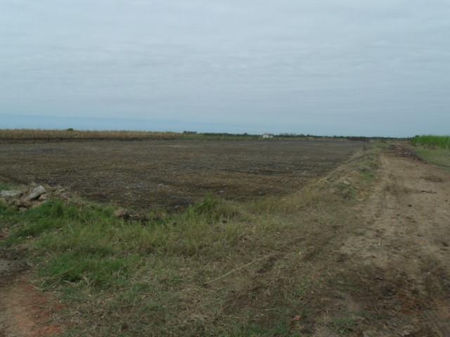 APC AZEVEDO PINTO CERAMICA EM CAMPOS DOS GOYTACAZES - APC CERAMICA