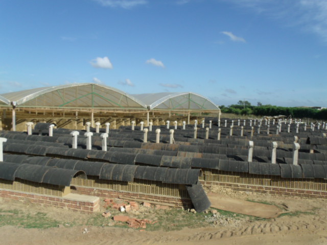 CERAMICA SANTO ANTONIO EM CAMPOS DOS GOYTACAZES - CERAMICA SANTO ANTONIO