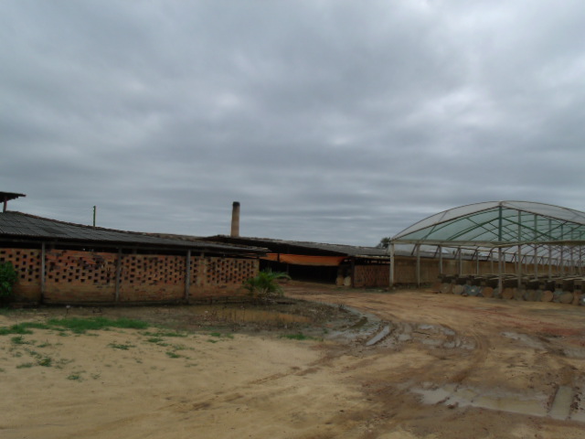 CERAMICA ROSARIO VIANA EM CAMPOS DOS GOYTACAZES - CERAMICA ROSARIO VIANA