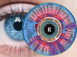 IRIDÓLOGO IRIDOLOGIA EM ANGRA DOS REIS RJ