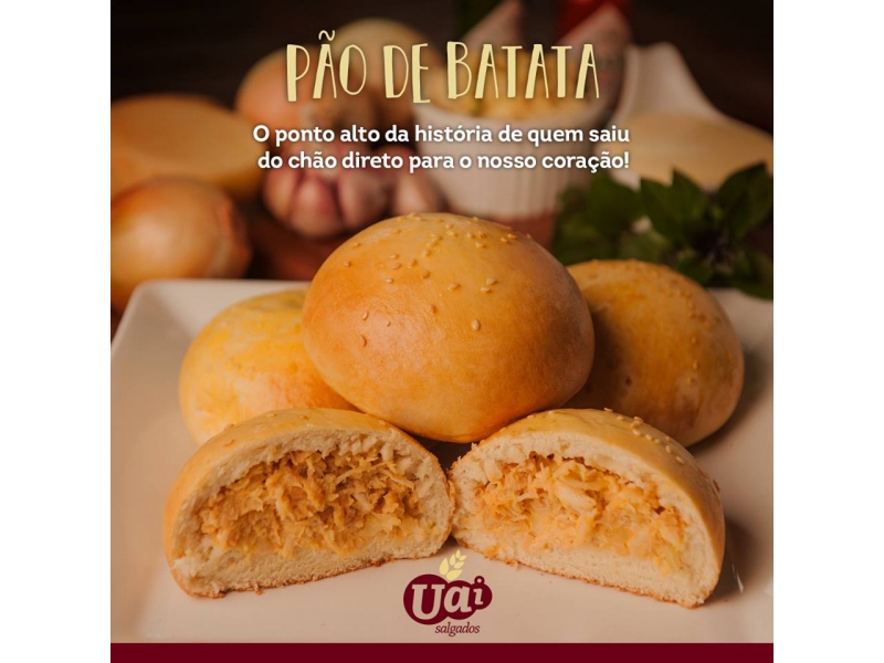 DISTRIBUIDORA DE SALGADO EM PETRÓPOLIS 