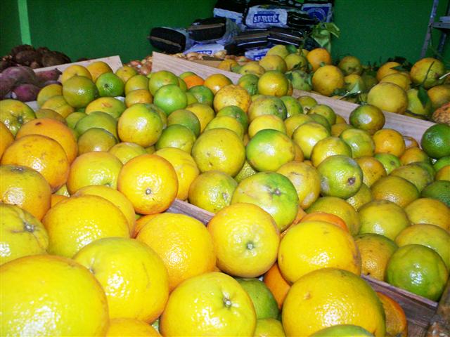 HORTIFRUTI EM PARAÍBA DO SUL - SÃO COSME E SÃO DAMIÃO - RJ