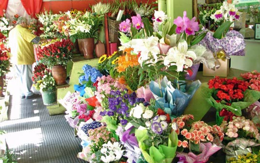 FLORES E DECORACOES EM PETROPOLIS