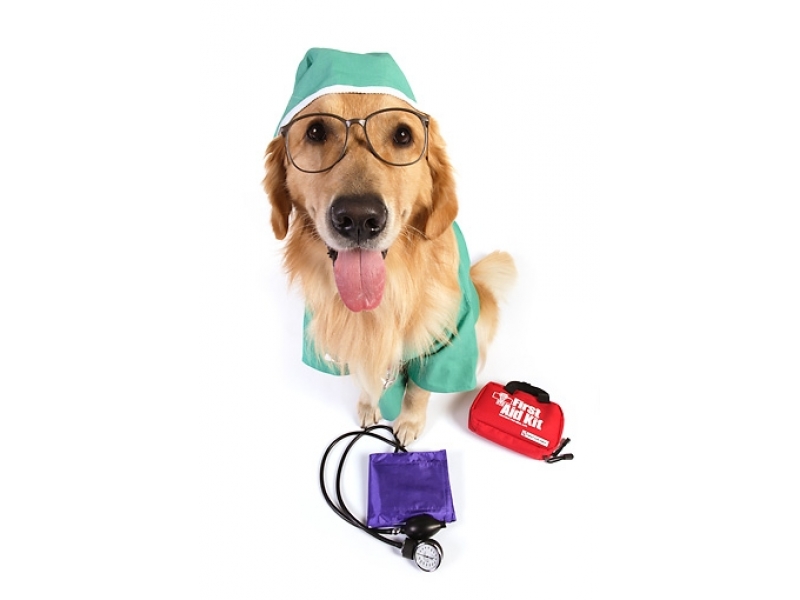 PET SHOP E VETERINÁRIO NO MORUMBI - SP