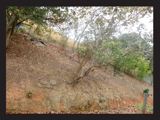 TERRENO COM QUITINETE EM TRÊS RIOS - RJ