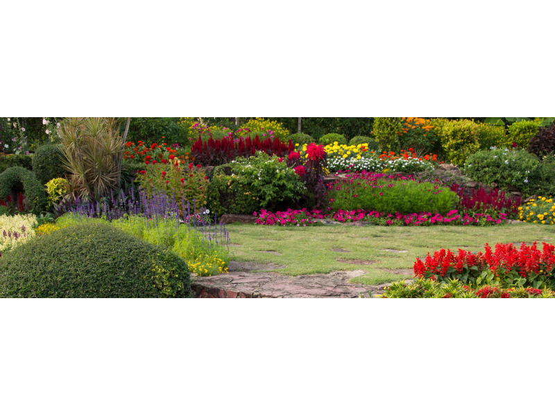 TEL: (11) 99708-8009 JARDINAGEM E PAISAGISMO NO SUMARÉ EM SÃO PAULO 