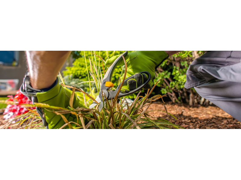 TEL: (11) 99708-8009 JARDINAGEM E PAISAGISMO NA VILA SÃO FRANCISCO EM SÃO PAULO