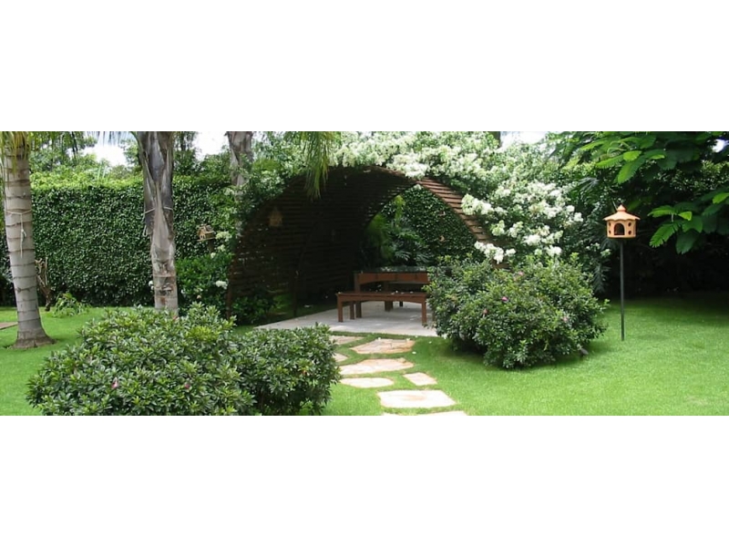 TEL: (11) 99708-8009 JARDINAGEM E PAISAGISMO NA VILA SÃO FRANCISCO EM SÃO PAULO