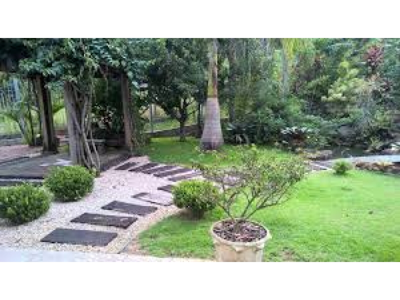 TEL: (11) 99708-8009 JARDINAGEM E PAISAGISMO NA VILA SÃO FRANCISCO EM SÃO PAULO