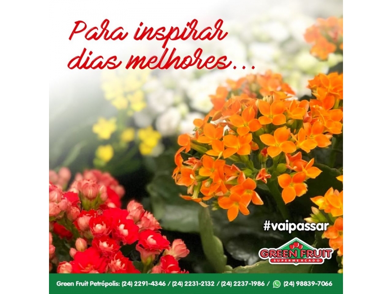 HORTIFRUTI EM PETRÓPOLIS - RJ