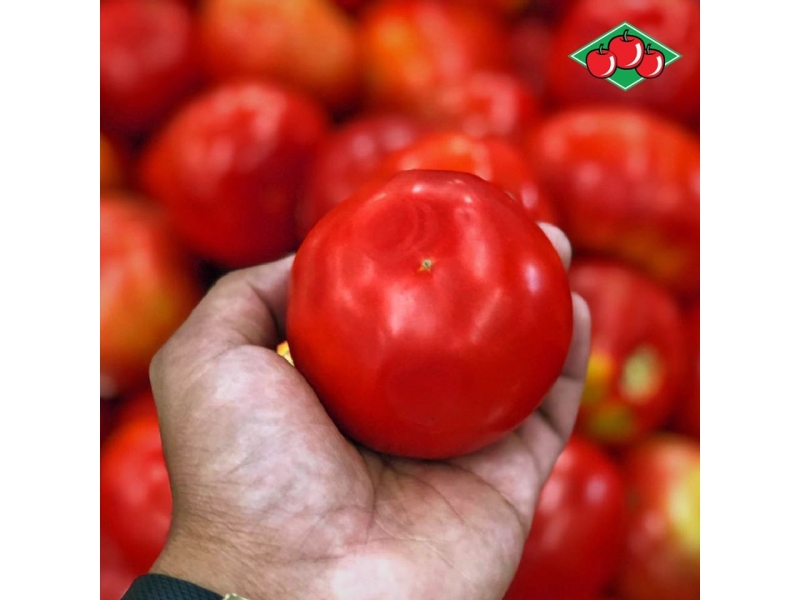 HORTIFRUTI EM PETRÓPOLIS - RJ