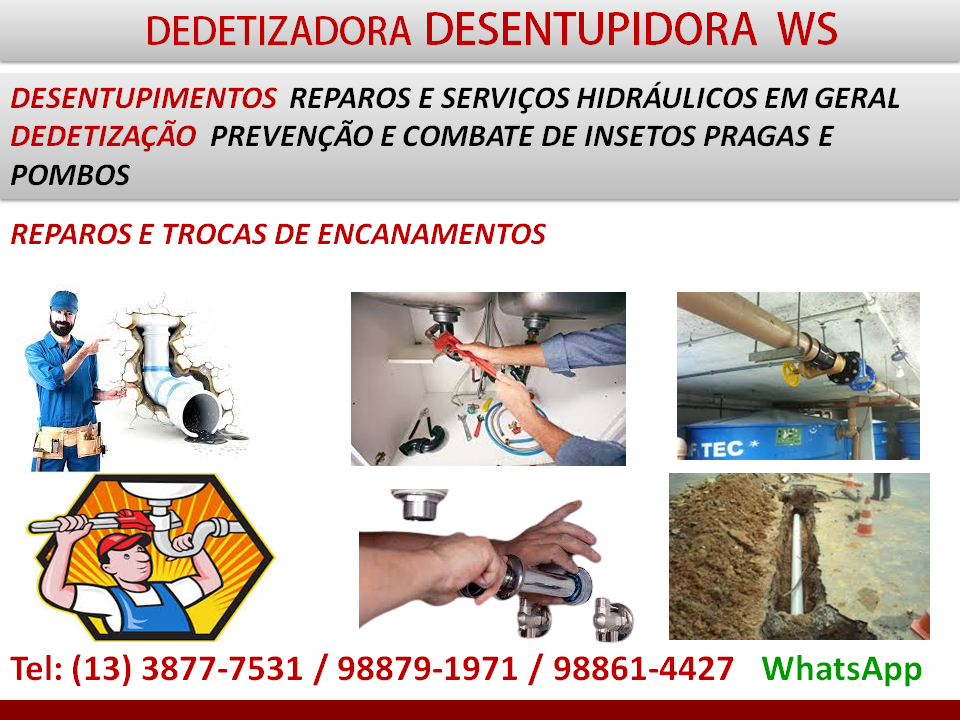 Dedetizadora desentupidora Baixada Santista WS Dedetizadora limpeza de caixa de água, descupinização, controle de pragas em geral