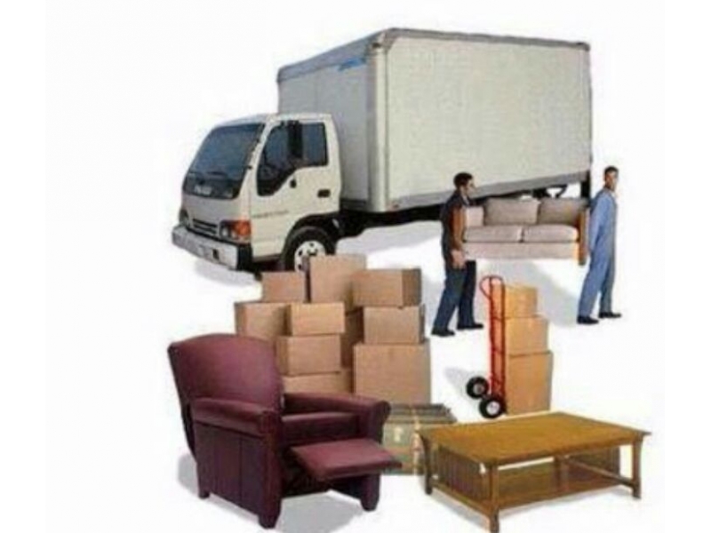 CARRETOS PARA O LITORAL - SP 