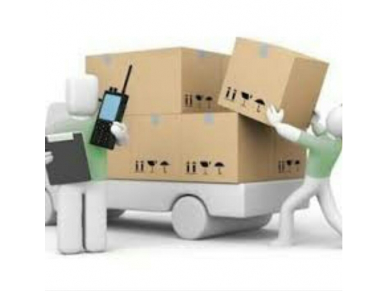 FRETES E MUDANÇAS EM PINHEIROS - SP 