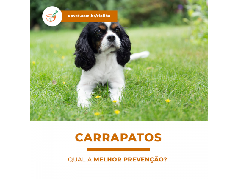 FARMÁCIA DE MANIPULAÇÃO NA ILHA DO GOVERNADOR - RJ