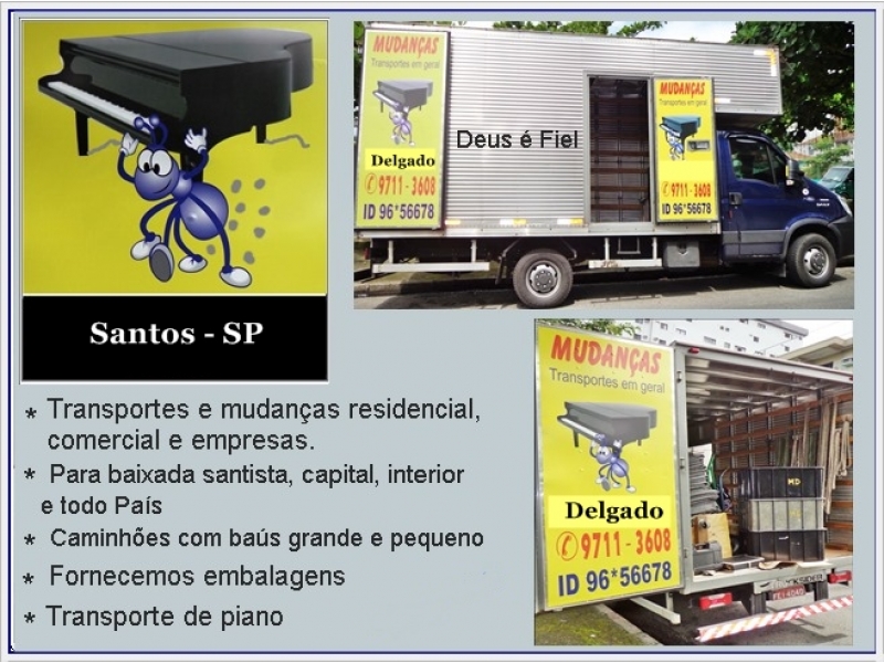 Mudancas e Transportes Santos Delgado