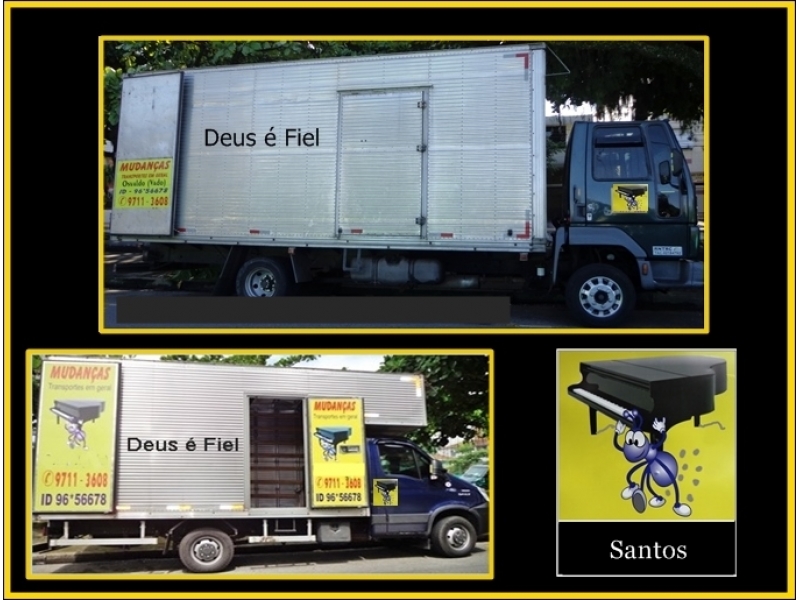 Mudancas e Transportes Santos Delgado