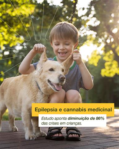 COMPRAR O MELHOR EXTRATO E OLEO DE CANABIDIOL EM GOIANIA - GO