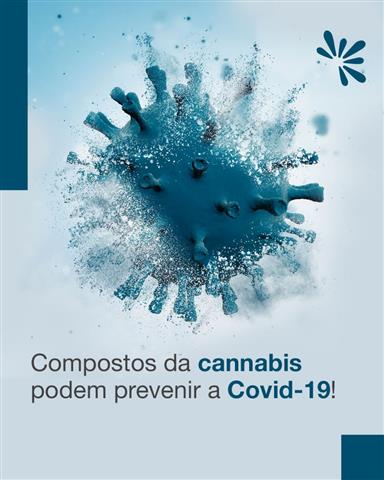 COMPRAR O MELHOR EXTRATO E OLEO DE CANABIDIOL EM VITÓRIA - ES 