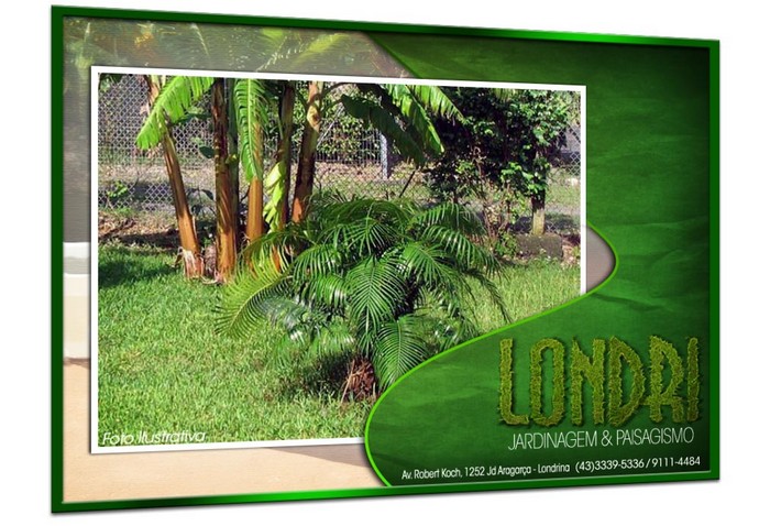 Londri Jardinagem Paisagismo Poda de Arvores Plantas Ornamentais Vasos e Grama Londrina PR