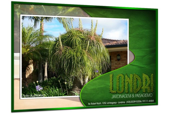 Londri Jardinagem Paisagismo Poda de Arvores Plantas Ornamentais Vasos e Grama Londrina PR