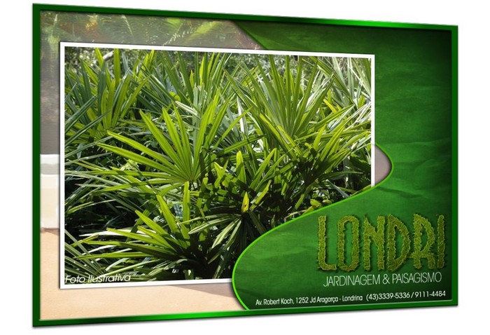 Londri Jardinagem Paisagismo Poda de Arvores Plantas Ornamentais Vasos e Grama Londrina PR