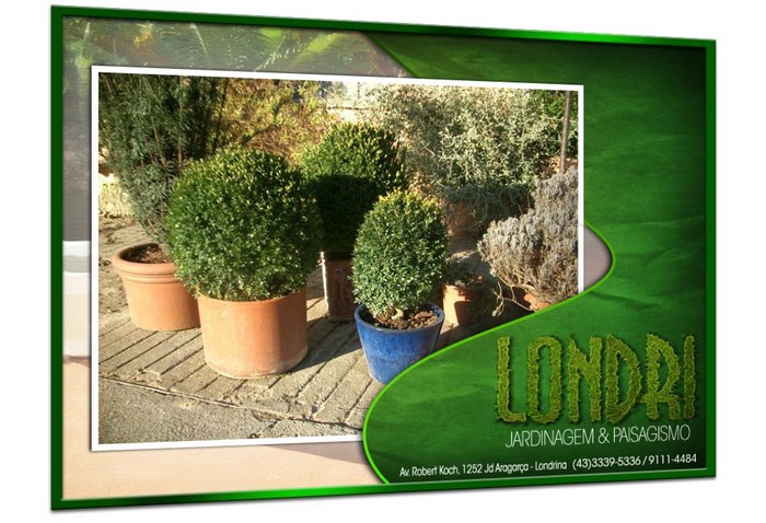 Londri Jardinagem Paisagismo Poda de Arvores Plantas Ornamentais Vasos e Grama Londrina PR